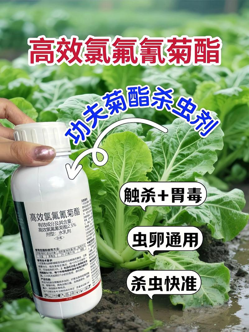 阿拉尔代生中心:农药对供卵代生妈妈的危害